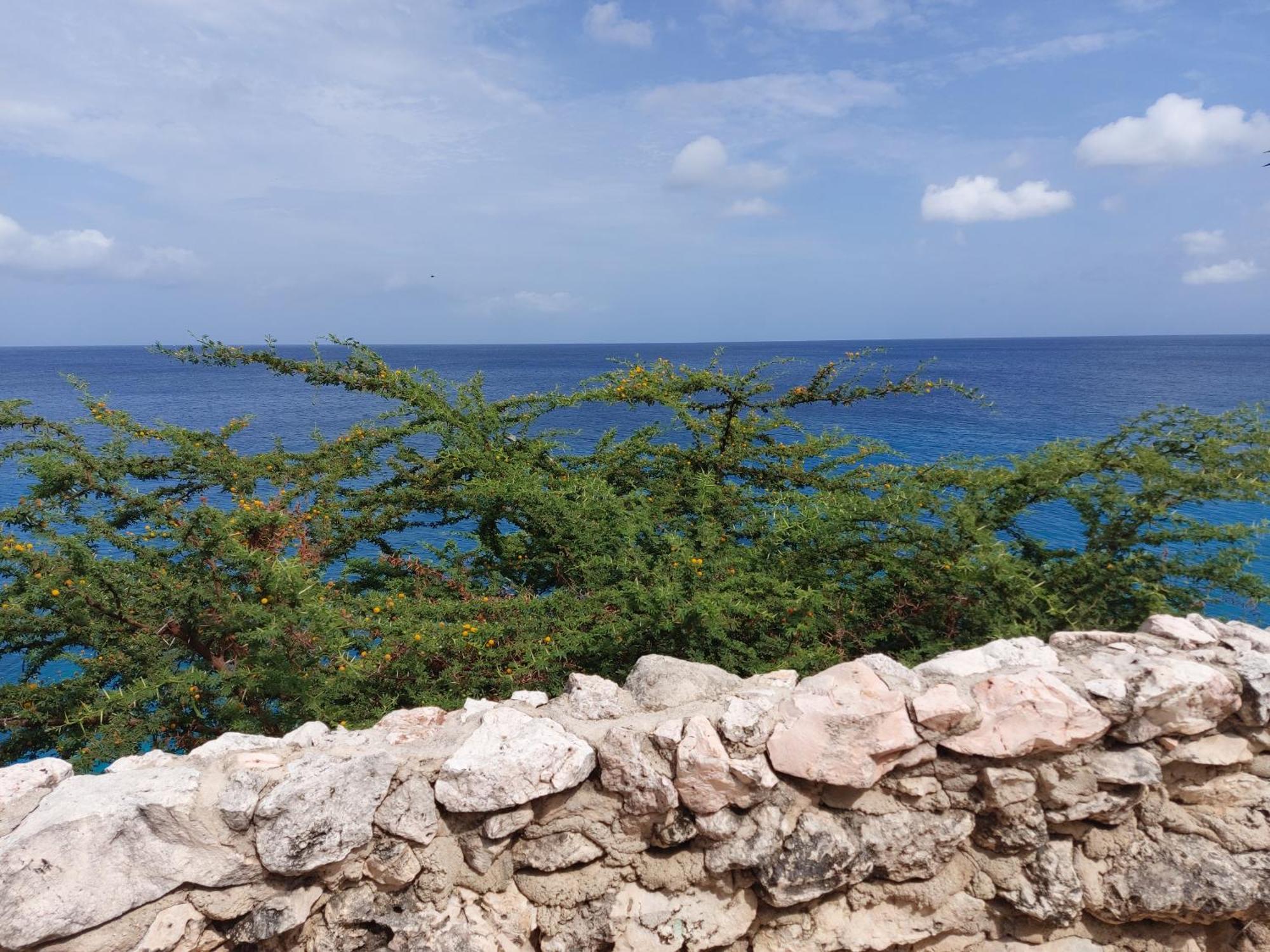 Bon Bini Lagun Curacao Appartement Buitenkant foto