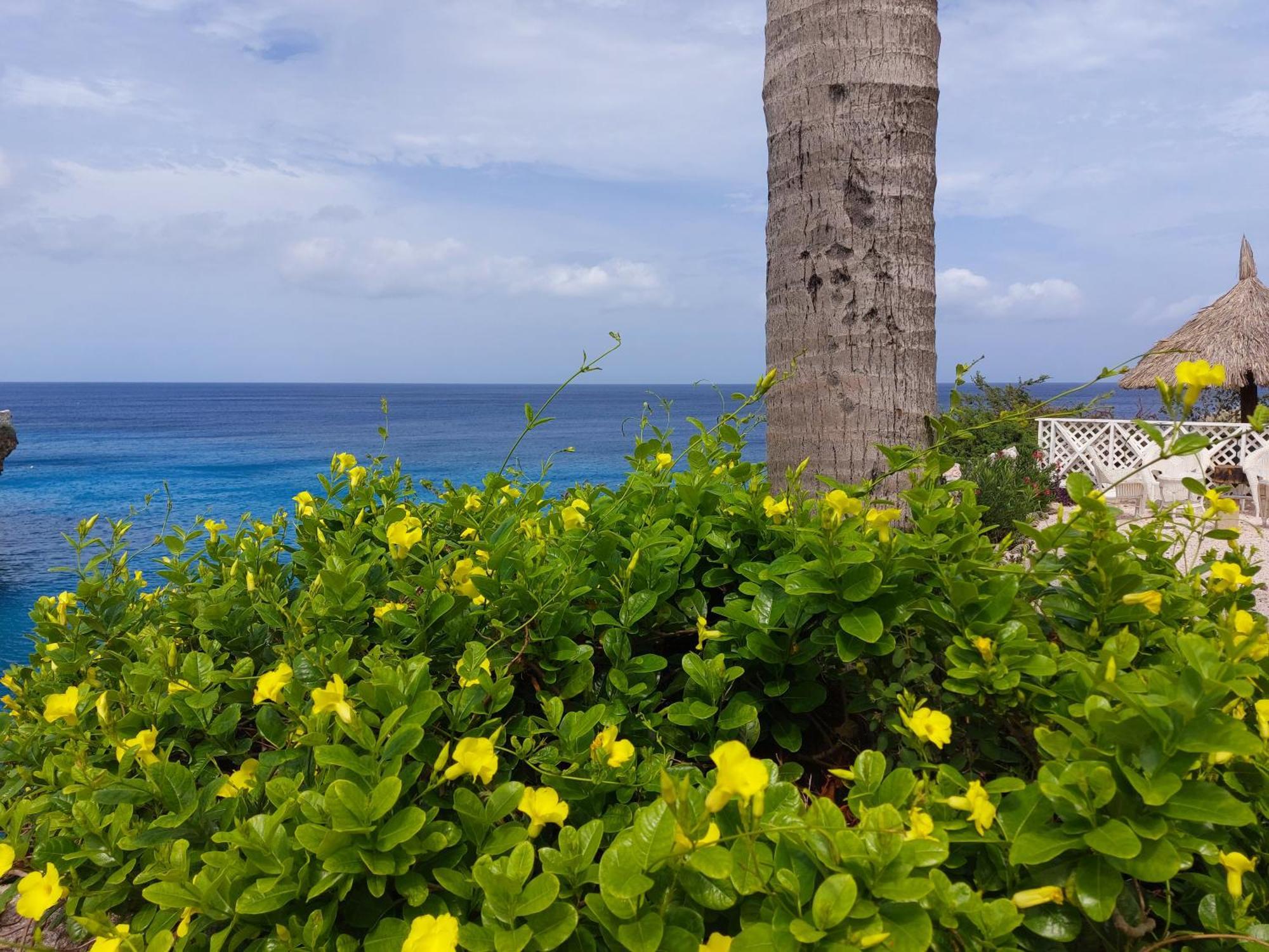 Bon Bini Lagun Curacao Appartement Buitenkant foto