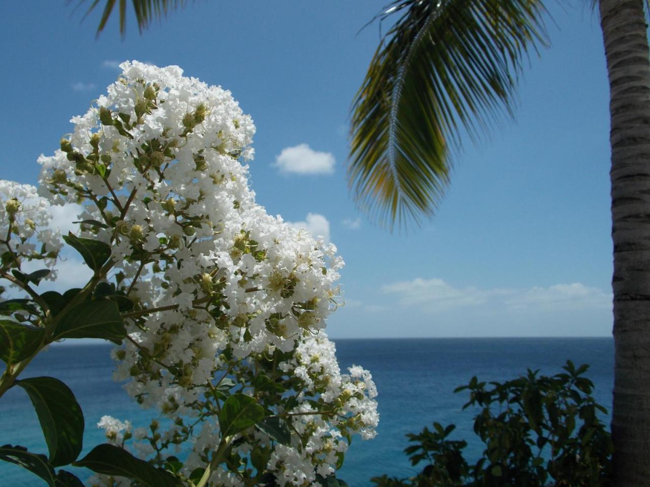 Bon Bini Lagun Curacao Appartement Buitenkant foto