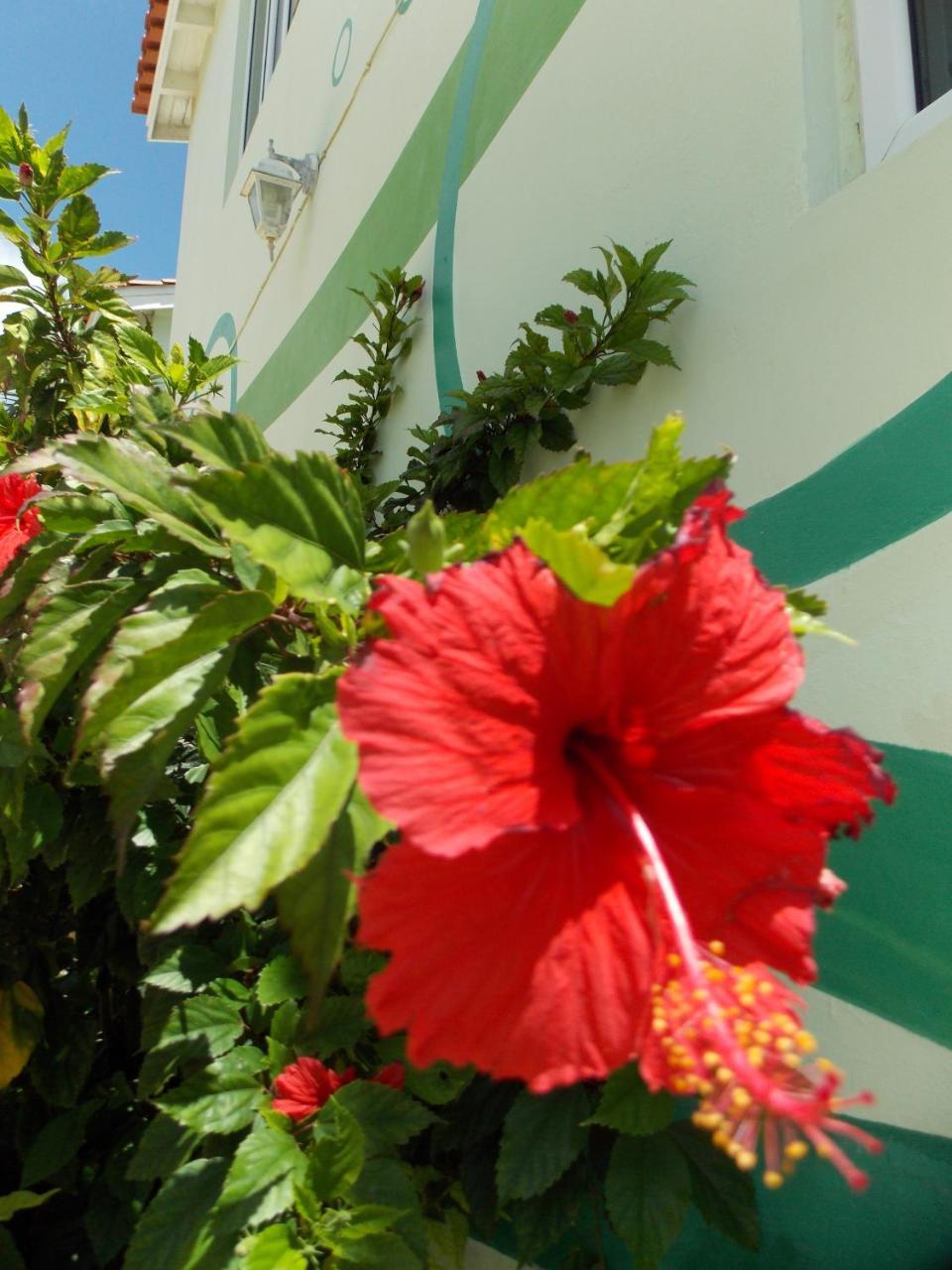 Bon Bini Lagun Curacao Appartement Buitenkant foto